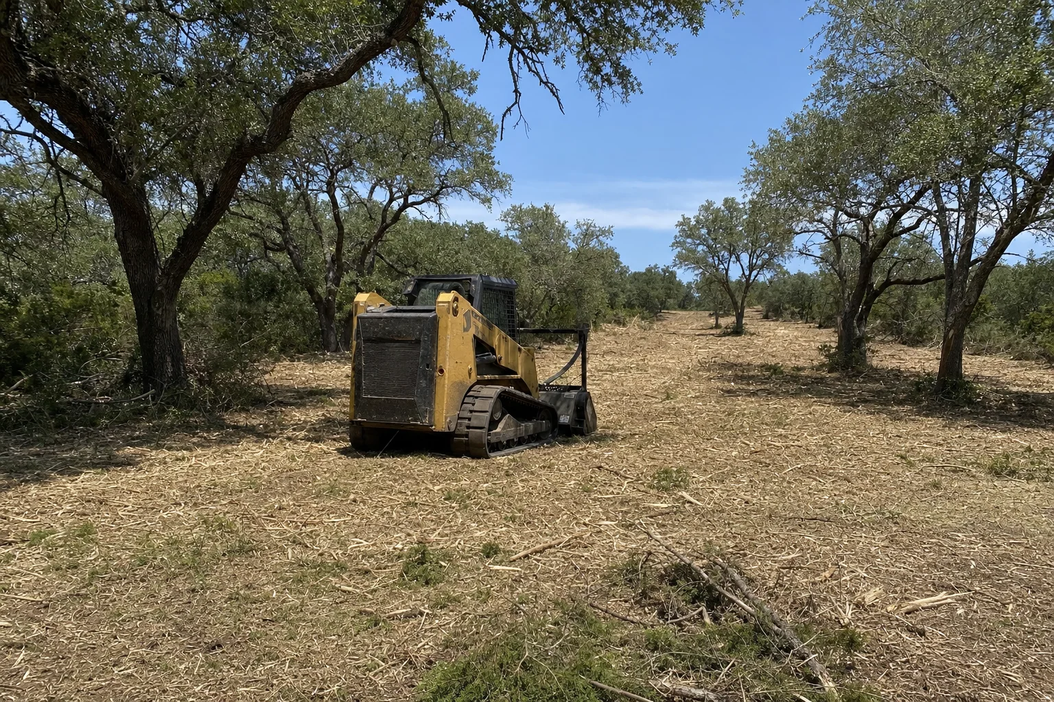 Cedar chips cover the open lane between the retained oak trees.
